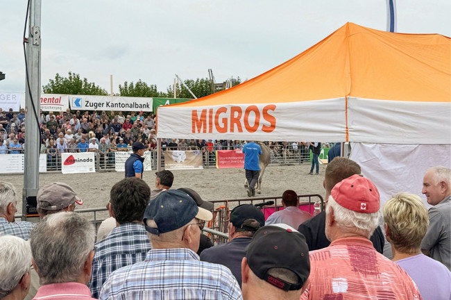 2024 09 10 Siterenmarkt5 2024 09 10 Siterenmarkt5