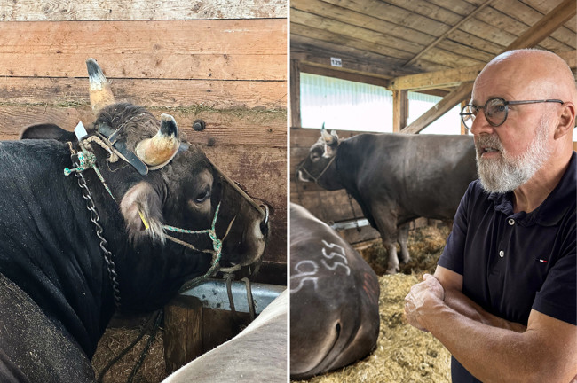 2024 09 10 Siterenmarkt3 2024 09 10 Siterenmarkt3