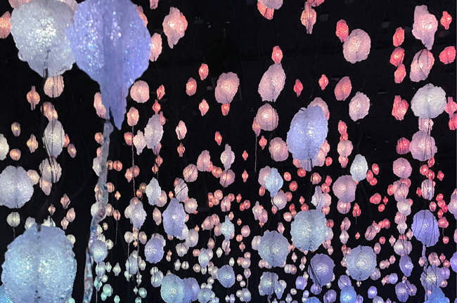 Lehrlingsausflug 04 Lehrlingsausflug 04